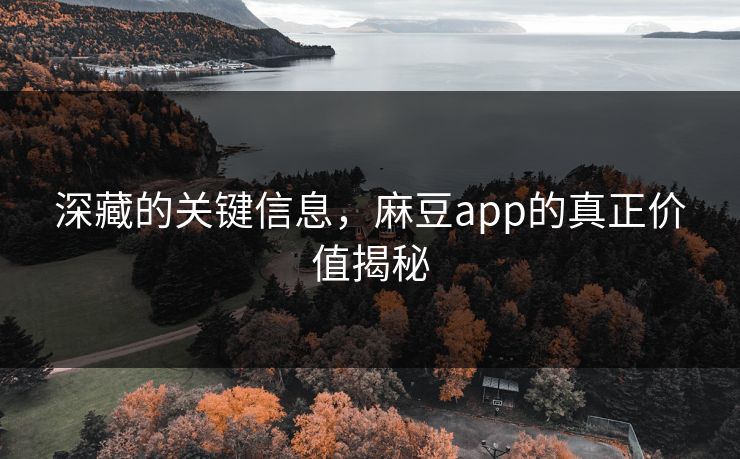 深藏的关键信息，麻豆app的真正价值揭秘