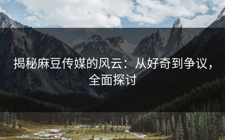 揭秘麻豆传媒的风云：从好奇到争议，全面探讨