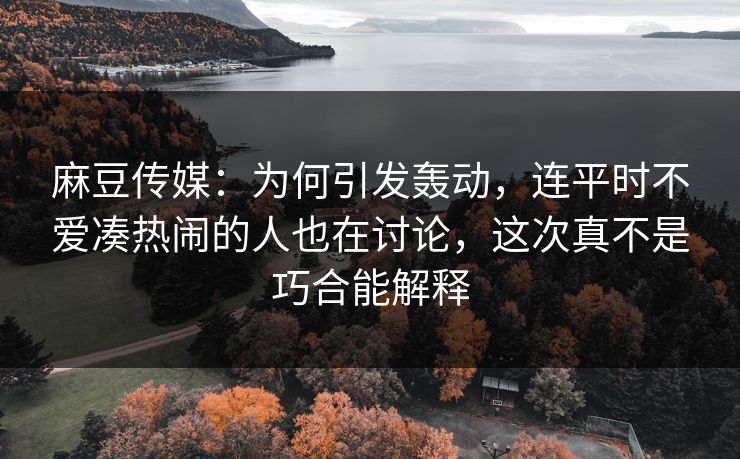 麻豆传媒：为何引发轰动，连平时不爱凑热闹的人也在讨论，这次真不是巧合能解释