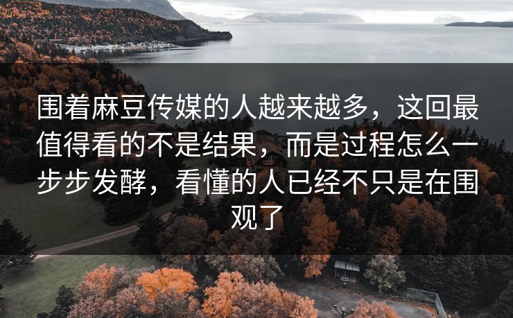 围着麻豆传媒的人越来越多，这回最值得看的不是结果，而是过程怎么一步步发酵，看懂的人已经不只是在围观了