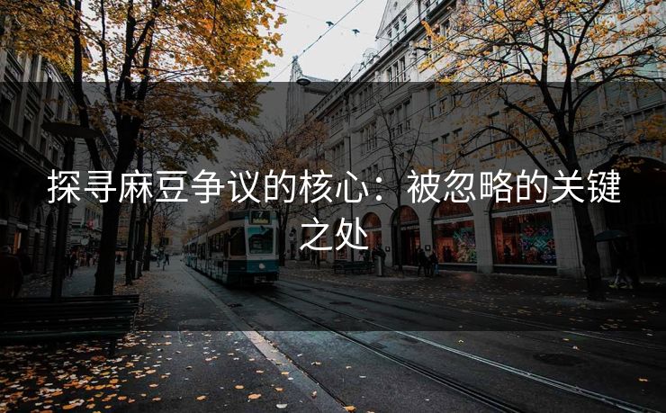 探寻麻豆争议的核心：被忽略的关键之处