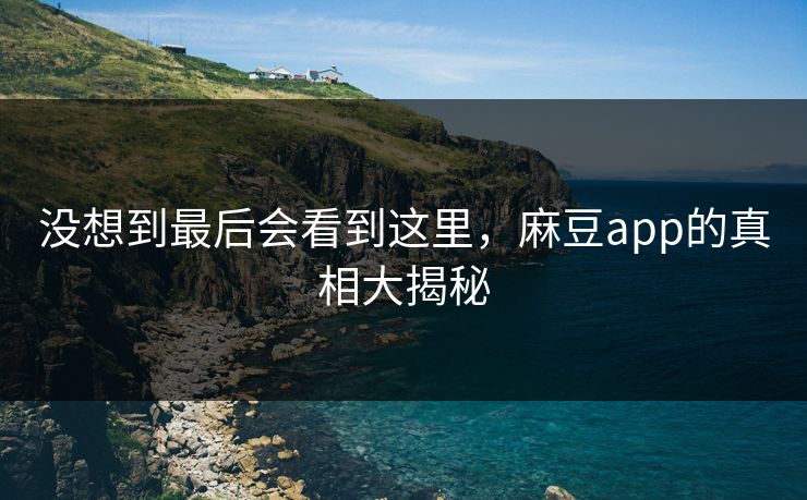 没想到最后会看到这里，麻豆app的真相大揭秘