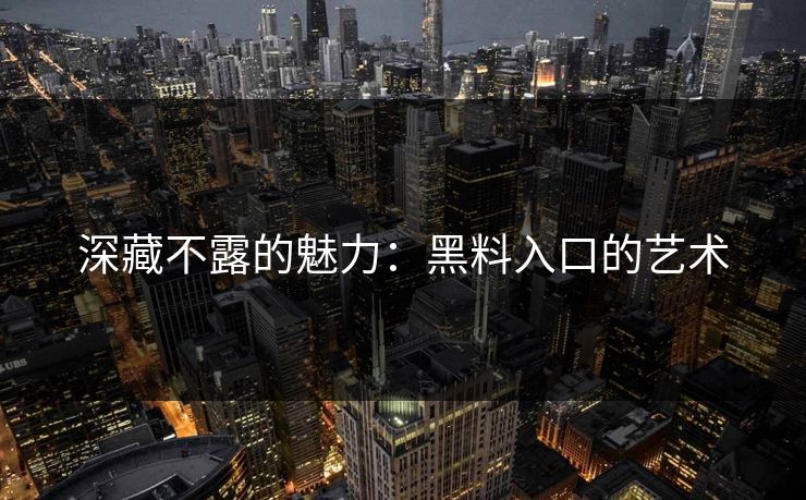深藏不露的魅力：黑料入口的艺术