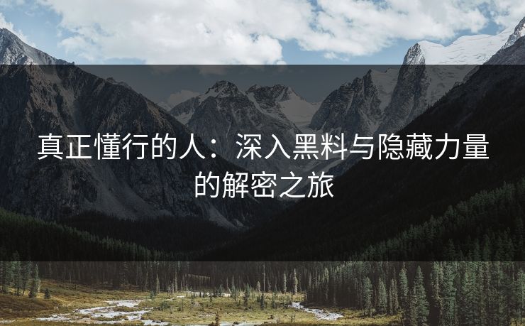 真正懂行的人：深入黑料与隐藏力量的解密之旅