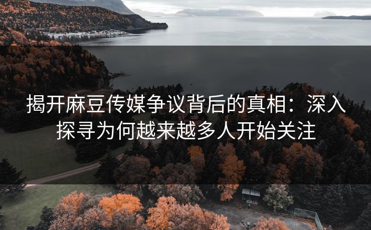 揭开麻豆传媒争议背后的真相：深入探寻为何越来越多人开始关注