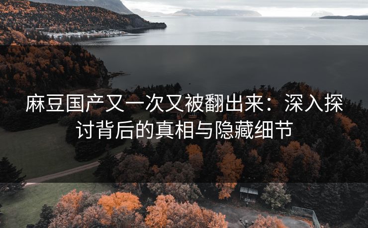 麻豆国产又一次又被翻出来：深入探讨背后的真相与隐藏细节