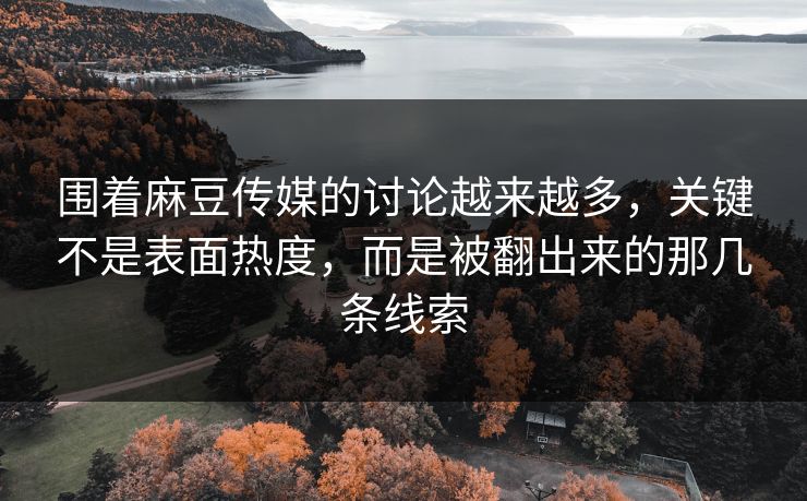 围着麻豆传媒的讨论越来越多，关键不是表面热度，而是被翻出来的那几条线索
